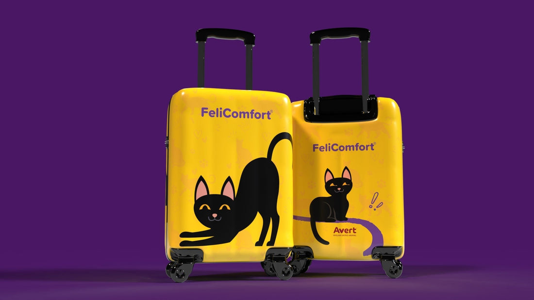 🐾 Kameleon Bags & Avert Saúde Animal: Estilo, Sustentabilidade e Paixão por Gatos! 🐾